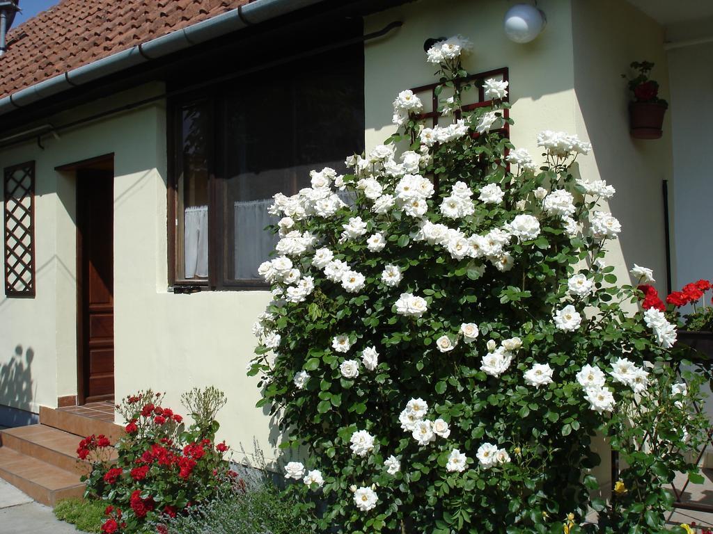 Rózsa Apartman Gyula Exterior foto